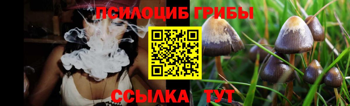 Псилоцибиновые грибы мухоморы  как найти наркотики  Моздок  Вход с VPN  Псилоцибиновые грибы Cubensis 